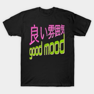 Japanese Streetwear Retro Vibes Aesthetic Kanji Characters 666 T-Shirt